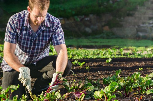 Staff member tending a neighbourhood garden in Feltham