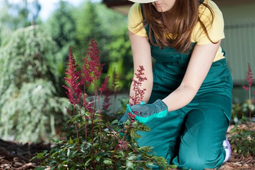 A gardener wearing a yellow T-shirt, teal gardening overalls, and blue gloves is kneeling in a well-maintained outdoor garden, tending to a flower bed with pink and purple flowering plants. The garden features a lush, green lawn with dense bushes and trees in the background, creating a vibrant and natural landscape typical of suburban gardens in Feltham. The soil around the plants appears rich and freshly maintained, with a neatly edged flower bed that contrasts with the surrounding grass. Sunlight illuminates the scene, indicating good weather, and the garden environment appears tidy and cared for, reflecting professional outdoor maintenance services offered by Garden Maintenance Feltham. In the background, there is a garden shed with a sloped roof, blending into the verdant greenery, completing the landscaped outdoor space that emphasizes natural textures and colour variations from the foliage and flowers.