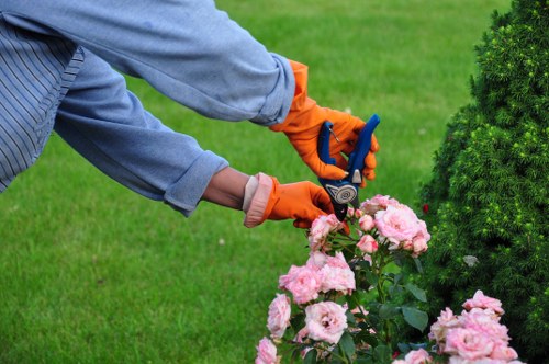 Hedge trimming crew working on a boundary hedge in Feltham