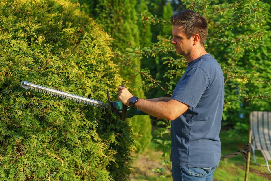 A man is performing garden maintenance by trimming a dense, green hedge with electric hedge shears. He is standing upright, wearing a blue t-shirt and dark jeans, focused on shaping the hedge. The hed