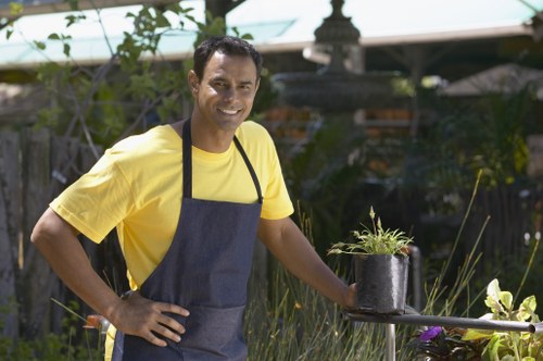 Pruned shrubs and garden pathways in Feltham